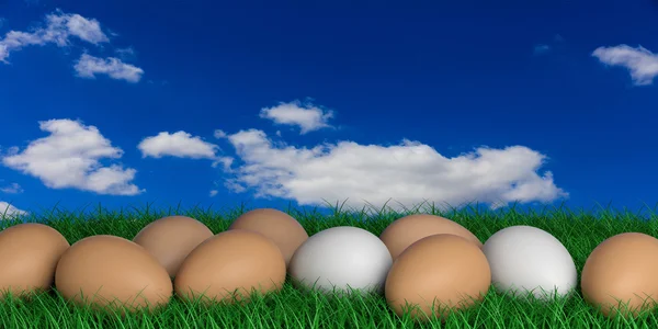 3d rendering uova su uno sfondo cielo blu — Foto Stock