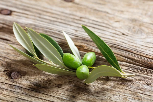 Olive takje op een tafel — Stockfoto