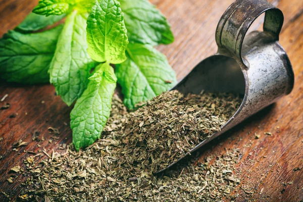 Menthe verte fraîche et séchée sur une table en bois — Photo