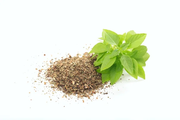 Basil fresh and dried on white background — Stock Photo, Image