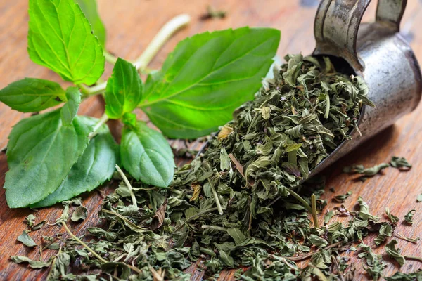 Fresh and dried mint on a wooden surface — Stock Photo, Image