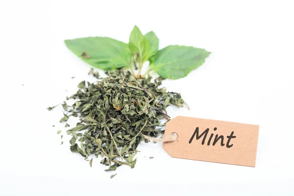 Fresh and dried mint on white background — Stock Photo, Image