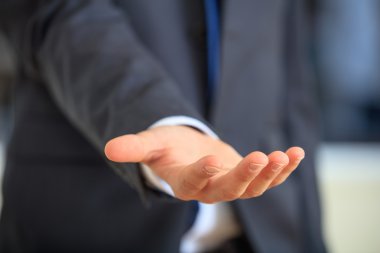 Bir palm sunan takım elbiseli adam