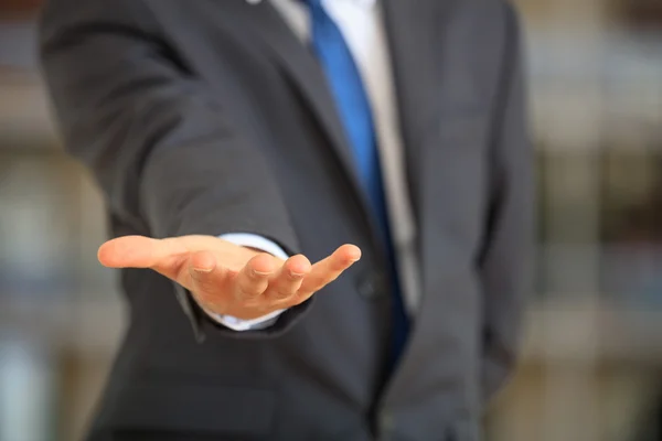 Hombre de traje ofreciendo una palma — Foto de Stock