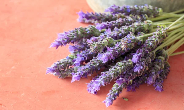 Lavendelblüten auf rotem Hintergrund — Stockfoto