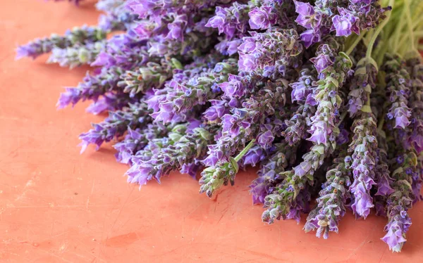 Lavender flowers on red background — Stock Photo, Image