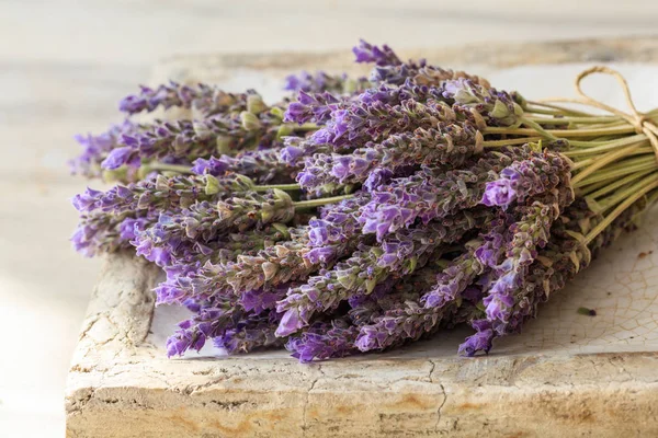 Monte de flores de lavanda — Fotografia de Stock