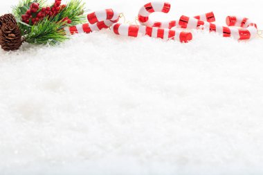 Çam kozalakları ve şekerler karda