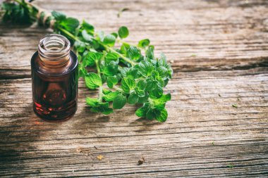 Ahşap arka plan üzerinde dal taze kekik