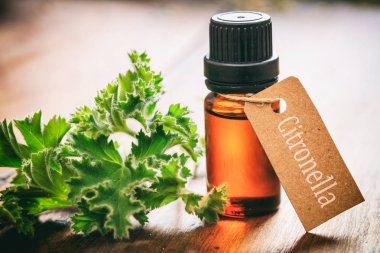 Ahşap arka plan taze citronella yapraklarda
