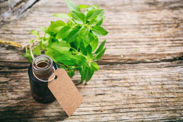 Fresh basil and oil on wooden background — Stock Photo, Image