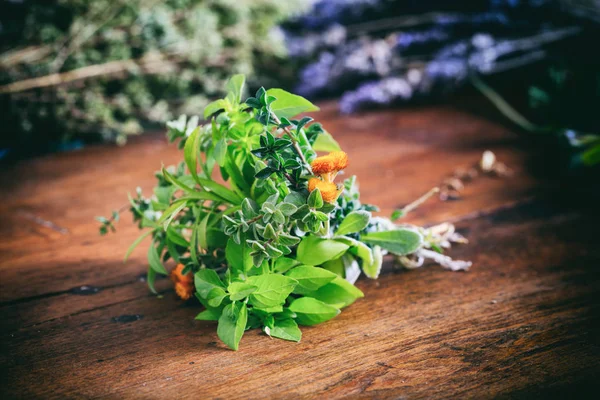 Variété d'herbes sur fond en bois — Photo