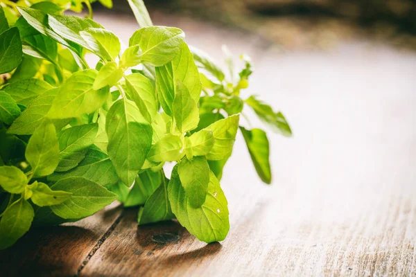 Albahaca fresca sobre fondo de madera — Foto de Stock