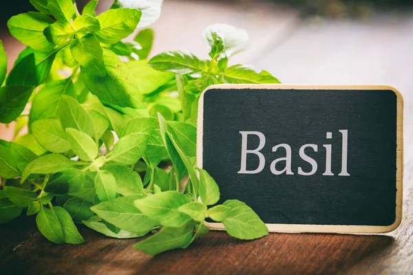 Fresh basil on wooden background — Stock Photo, Image