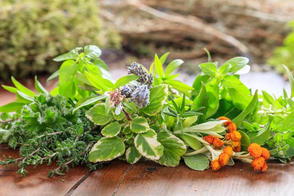 Variety of herbs on wooden background — Stock Photo, Image