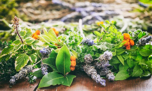 Variety of herbs on wooden background — Stock Photo, Image