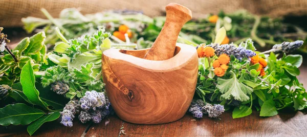 Variety of herbs and mortar on wooden background — Stock Photo, Image