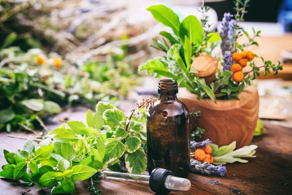 Variety of herbs and mortar on wooden background — Stock Photo, Image