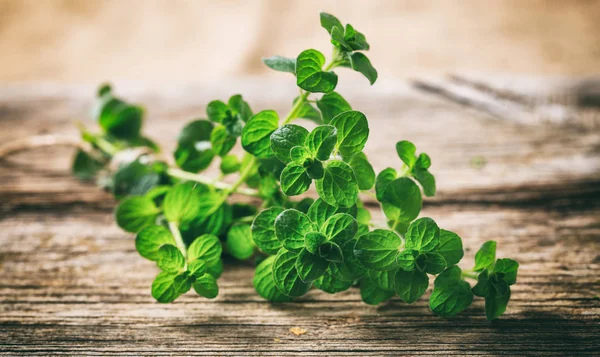 Frischer Oreganozweig auf hölzernem Hintergrund — Stockfoto