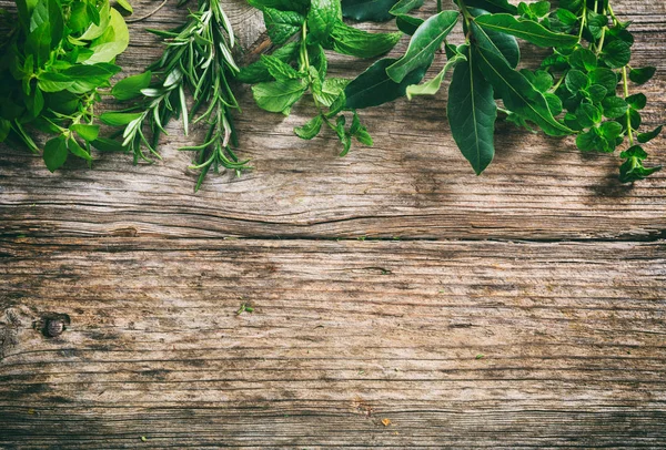 Variedad de hierbas sobre fondo de madera — Foto de Stock