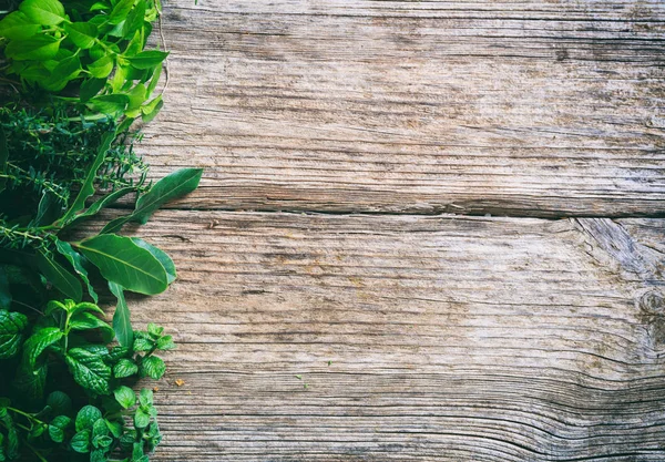 Variety of herbs on wooden background — Stock Photo, Image