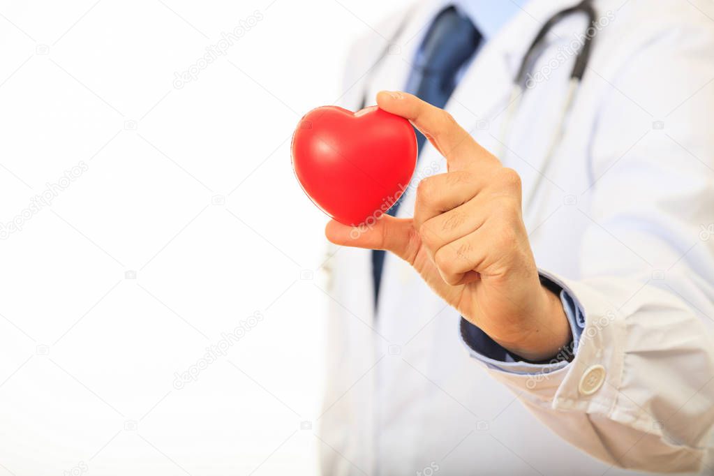 Doctor holding a heart on white background