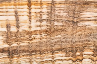 Zeytin ahşap yüzey doğal arka planı için