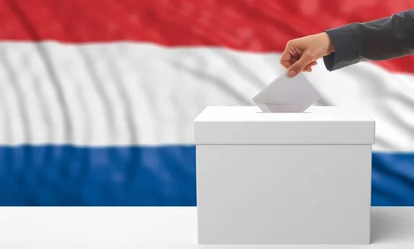 De kiezer op een achtergrond van de vlag Nederland. 3D illustratie — Stockfoto