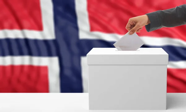 Wyborcy na tle flagi Norwegii. ilustracja 3D — Zdjęcie stockowe