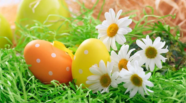Easter eggs on grass — Stock Photo, Image