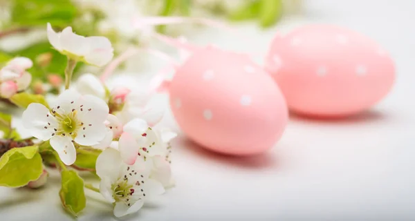 Ovos de páscoa e flores sobre fundo branco — Fotografia de Stock