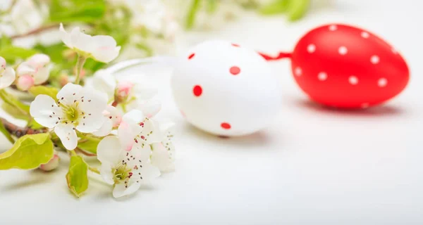 Ovos de páscoa e flores sobre fundo branco — Fotografia de Stock
