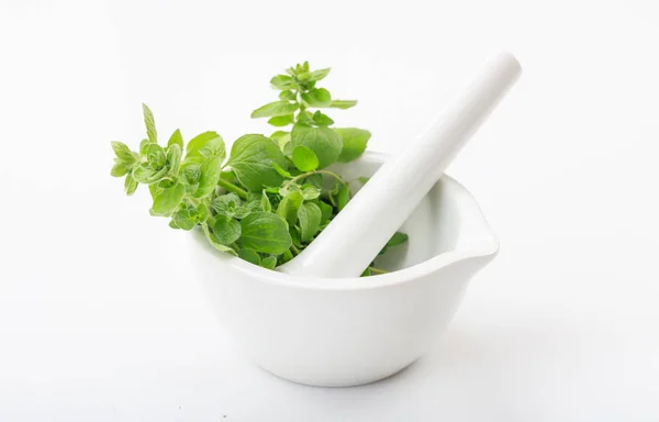 Oregano im Mörser auf weißem Hintergrund — Stockfoto