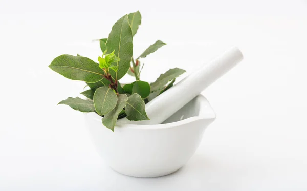 Bay laurel in a mortar on white background — Stock Photo, Image