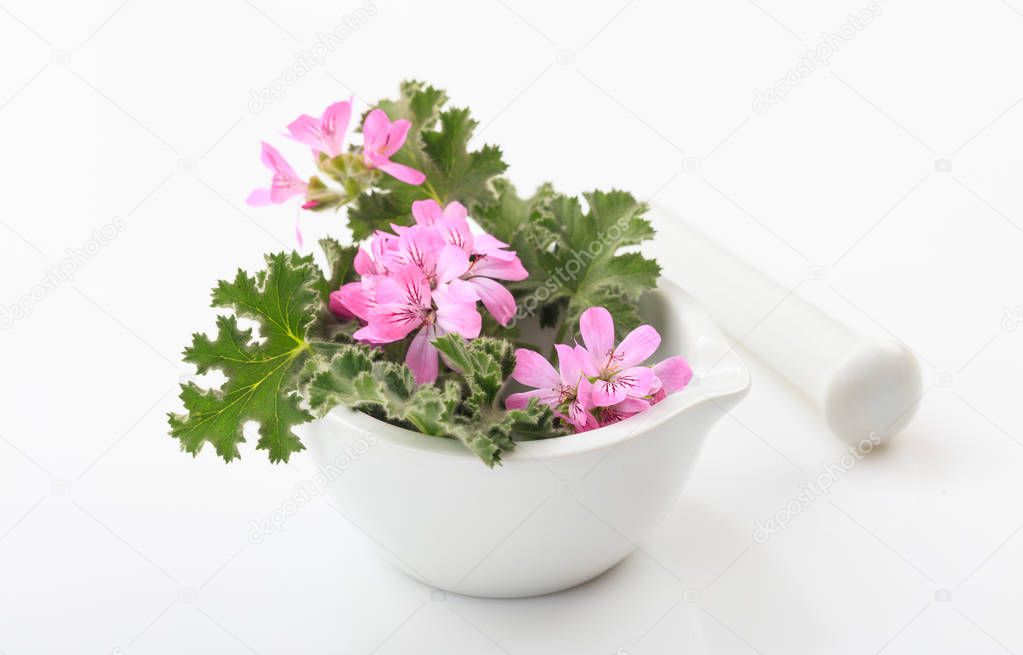 Citronella in a mortar on white background