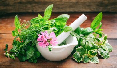 Bir harç ahşap arka plan üzerinde otlar