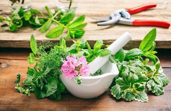 Herbs in a mortar on wooden background — Stock Photo, Image