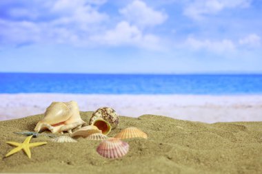 Sandy beach - yaz tatil kavramı