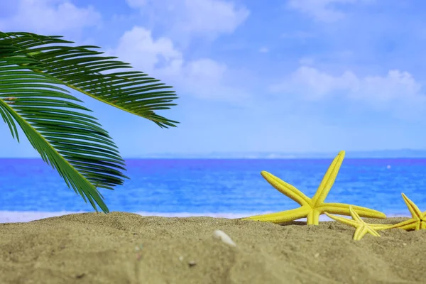 Playa de arena de verano - espacio para copiar —  Fotos de Stock