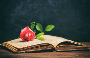 Vintage bir kitap koyu arka plan üzerinde kırmızı gül