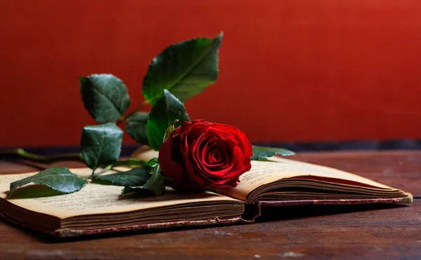 Rosa roja sobre un libro vintage sobre fondo oscuro — Foto de Stock