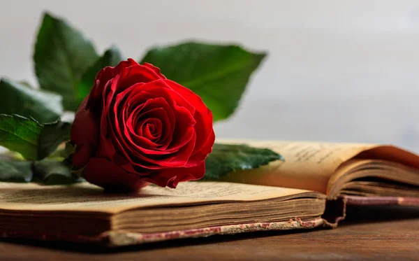 Rudá růže na vintage knižní na tmavém pozadí — Stock fotografie