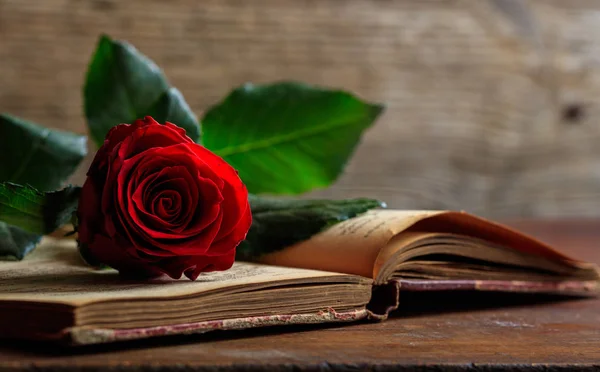 Vörös rózsa egy vintage könyv a sötét háttér — Stock Fotó