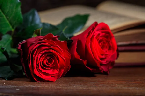 Rote Rosen und ein Jahrgangsbuch auf dunklem Hintergrund — Stockfoto