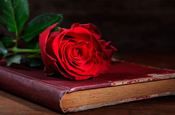 Vörös rózsa egy vintage könyv a sötét háttér — Stock Fotó