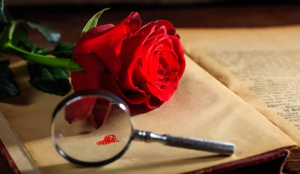 Lupa y rosa roja en un libro — Foto de Stock