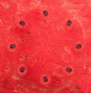 karpuz kırmızı doku