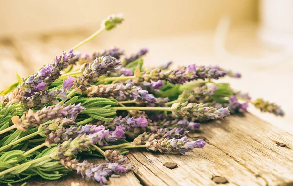 Taze lavanta ve kopya alanı