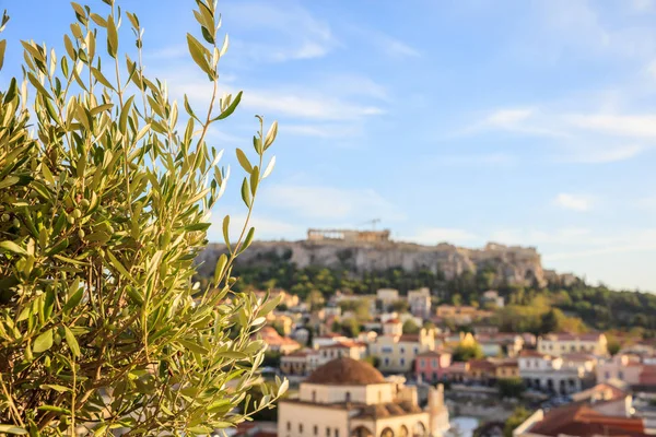 雅典，希腊。橄榄树上雅典卫城和蒙纳斯提拉的抽象背景 — 图库照片