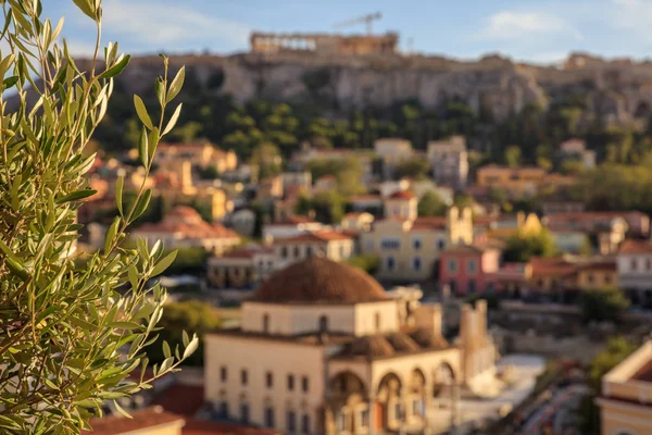Atenas, Grecia. Olivo en la Acrópolis y Monastiraki fondo abstracto — Foto de Stock